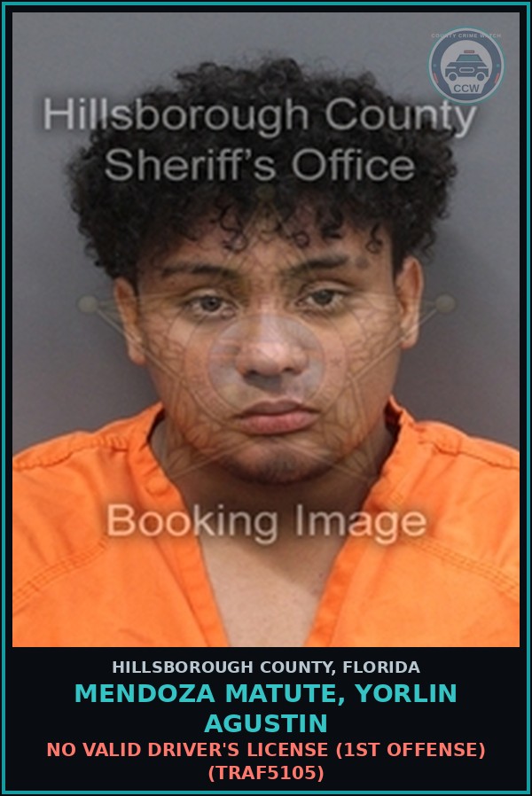 Booking mugshot of MENDOZA MATUTE, YORLIN AGUSTIN in Hillsborough County