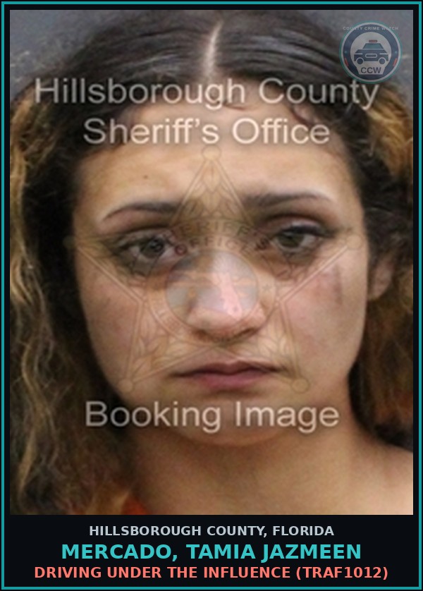 Booking mugshot of MERCADO, TAMIA JAZMEEN in Hillsborough County