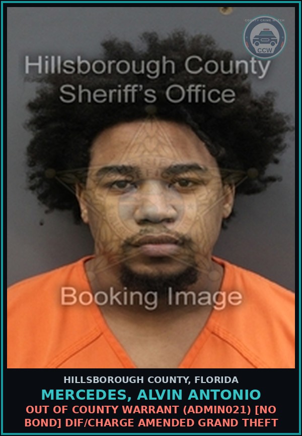 Booking mugshot of MERCEDES, ALVIN ANTONIO in Hillsborough County