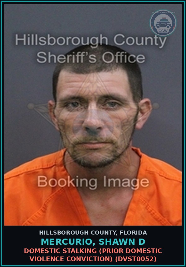 Booking mugshot of MERCURIO, SHAWN D in Hillsborough County