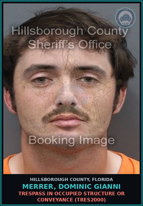 Booking mugshot of MERRER, DOMINIC GIANNI in Hillsborough County