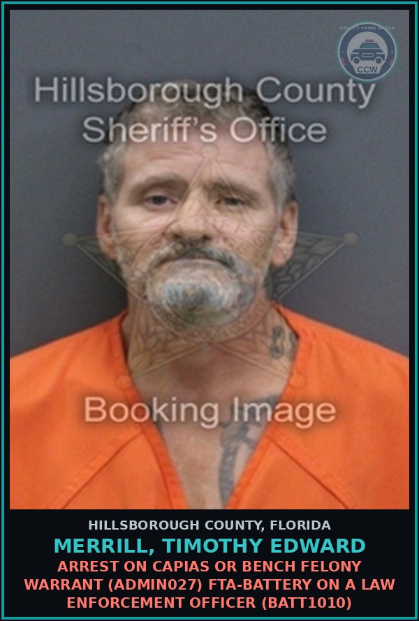 Booking mugshot of MERRILL, TIMOTHY EDWARD in Hillsborough County