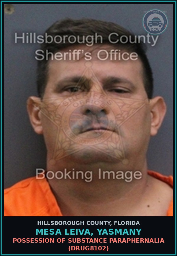 Booking mugshot of MESA LEIVA, YASMANY in Hillsborough County