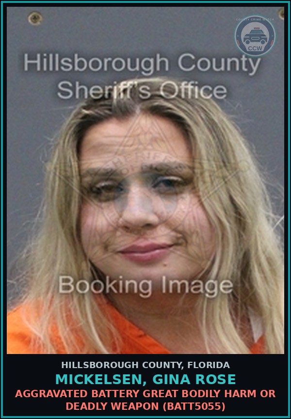 Booking mugshot of MICKELSEN, GINA ROSE in Hillsborough County
