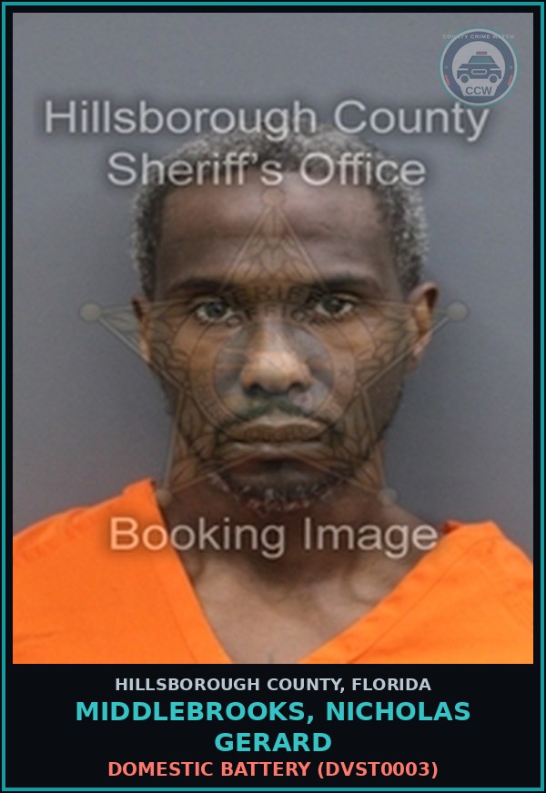 Booking mugshot of MIDDLEBROOKS, NICHOLAS GERARD in Hillsborough County