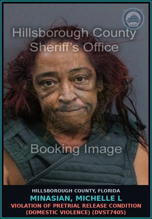 Booking mugshot of MINASIAN, MICHELLE L in Hillsborough County