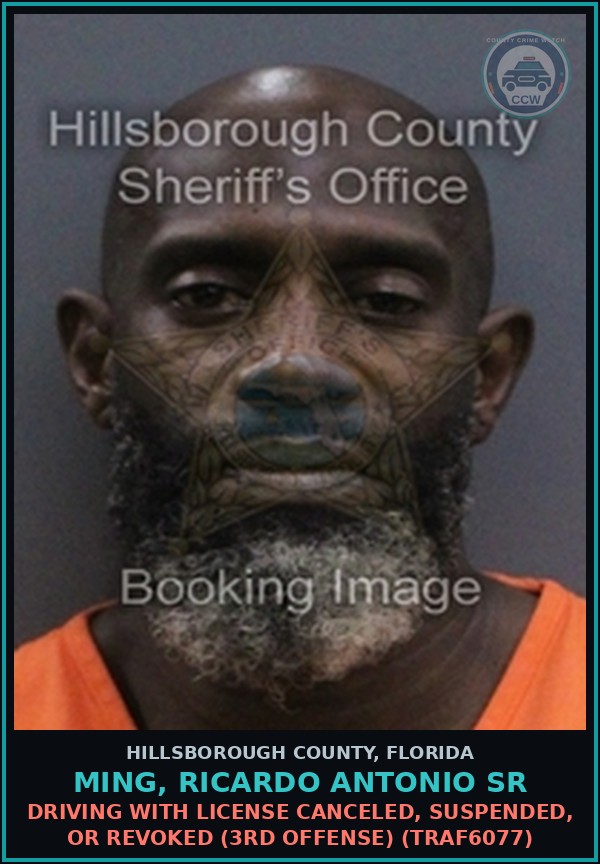Booking mugshot of MING, RICARDO ANTONIO SR in Hillsborough County