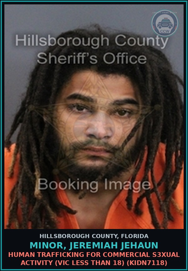 Booking mugshot of MINOR, JEREMIAH JEHAUN in Hillsborough County