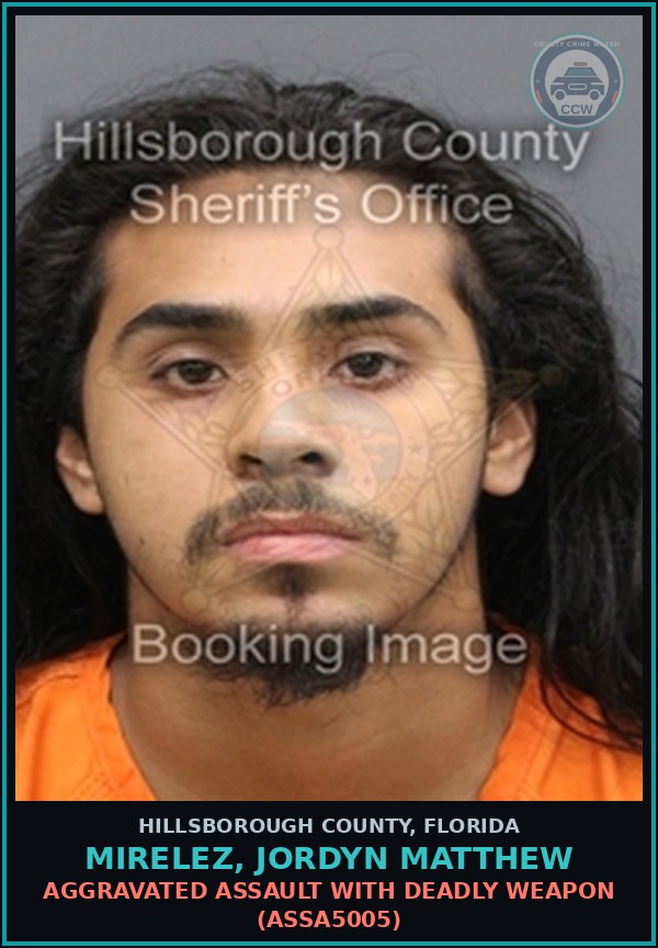 Booking mugshot of MIRELEZ, JORDYN MATTHEW in Hillsborough County