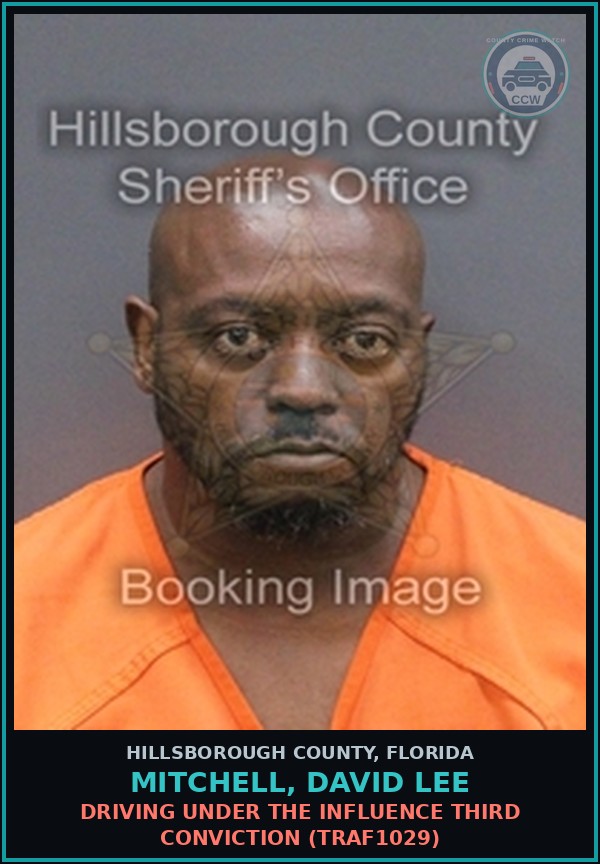 Booking mugshot of MITCHELL, DAVID LEE in Hillsborough County