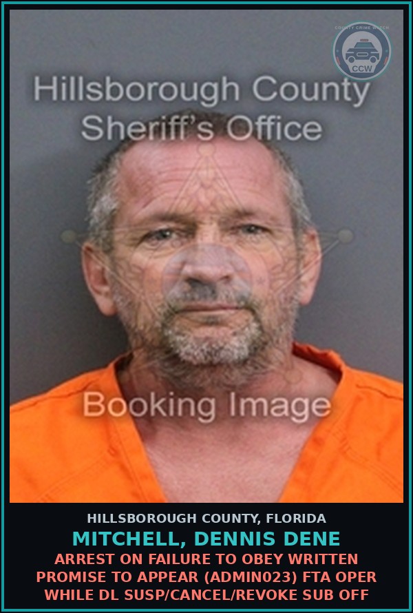 Booking mugshot of MITCHELL, DENNIS DENE in Hillsborough County