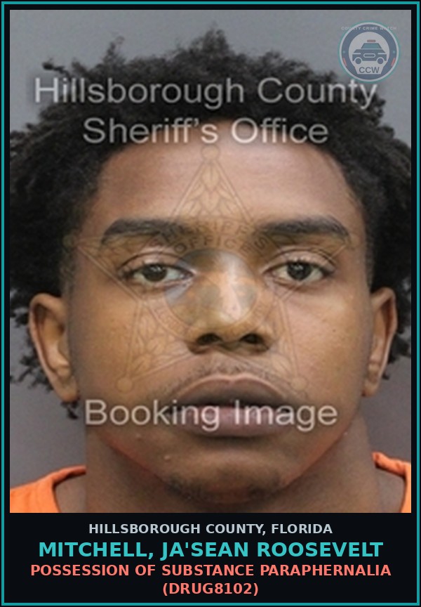 Booking mugshot of MITCHELL, JA'SEAN ROOSEVELT in Hillsborough County