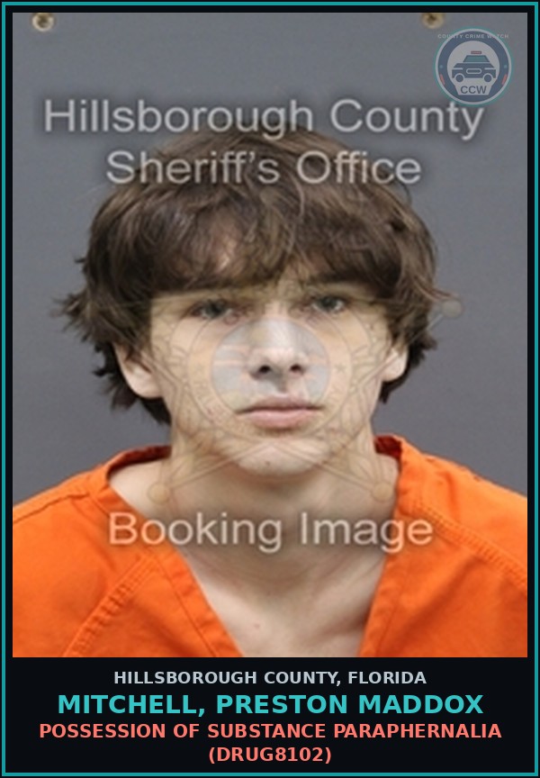 Booking mugshot of MITCHELL, PRESTON MADDOX in Hillsborough County