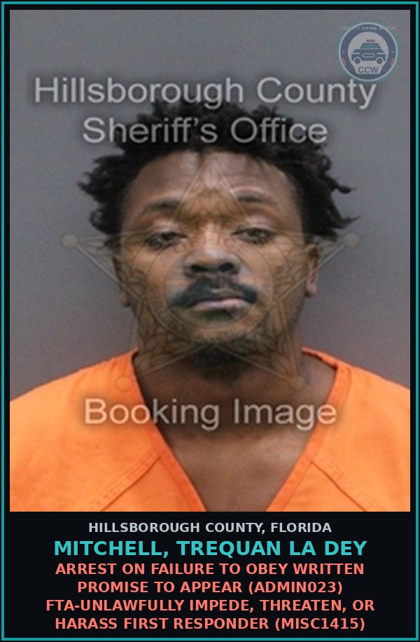 Booking mugshot of MITCHELL, TREQUAN LA DEY in Hillsborough County