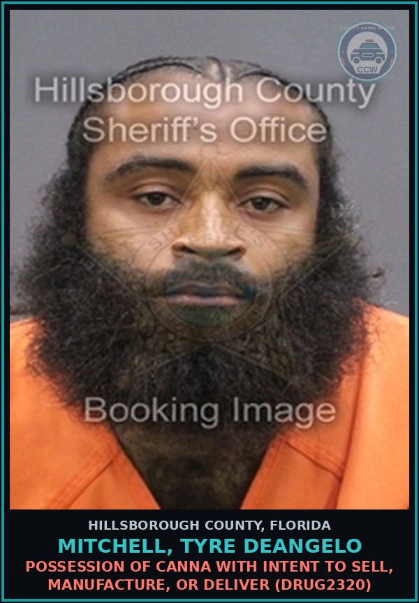 Booking mugshot of MITCHELL, TYRE DEANGELO in Hillsborough County