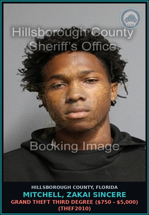 Booking mugshot of MITCHELL, ZAKAI SINCERE in Hillsborough County