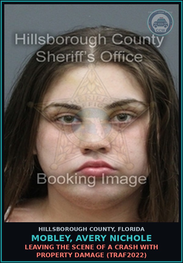 Booking mugshot of MOBLEY, AVERY NICHOLE in Hillsborough County