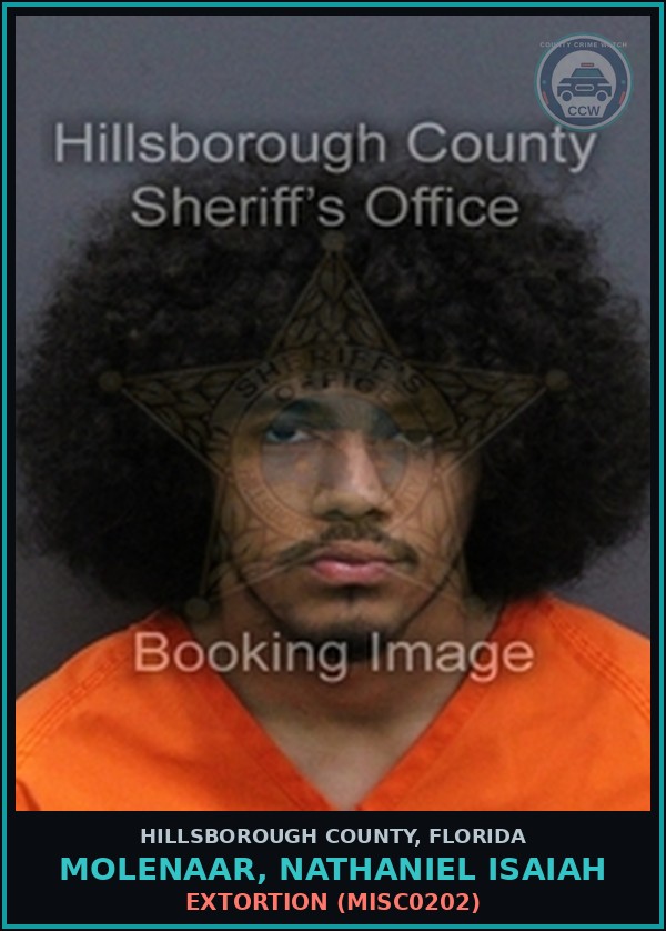 Booking mugshot of MOLENAAR, NATHANIEL ISAIAH in Hillsborough County