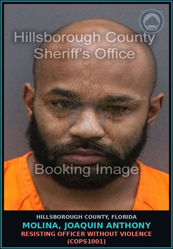 Booking mugshot of MOLINA, JOAQUIN ANTHONY in Hillsborough County