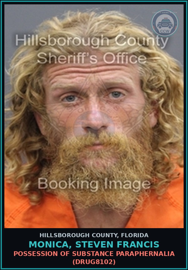 Booking mugshot of MONICA, STEVEN FRANCIS in Hillsborough County