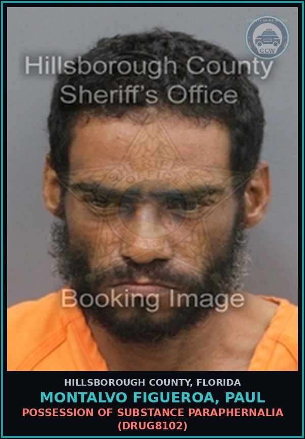 Booking mugshot of MONTALVO FIGUEROA, PAUL in Hillsborough County