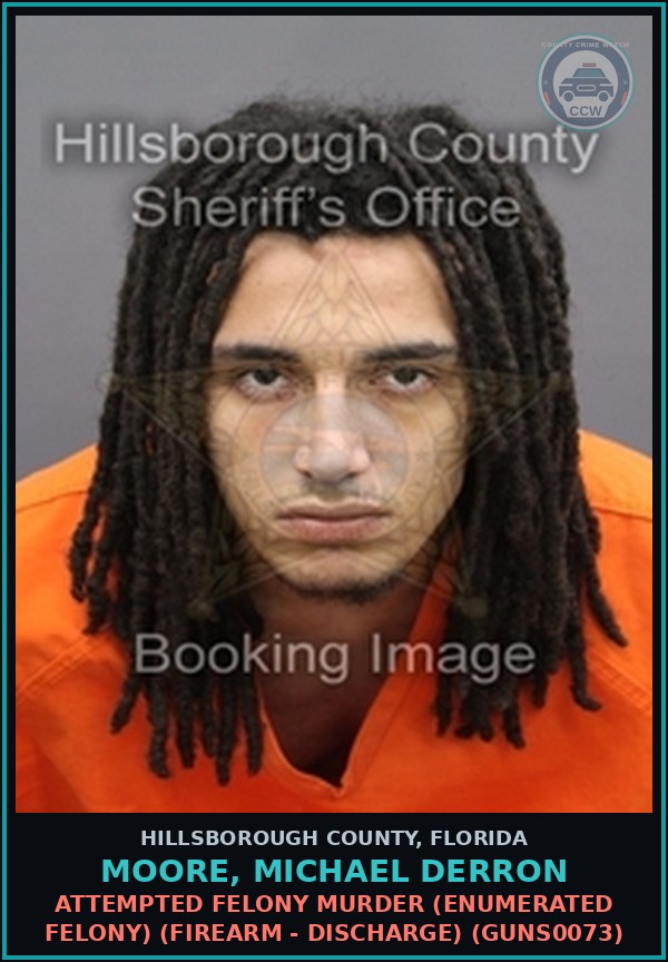 Booking mugshot of MOORE, MICHAEL DERRON in Hillsborough County