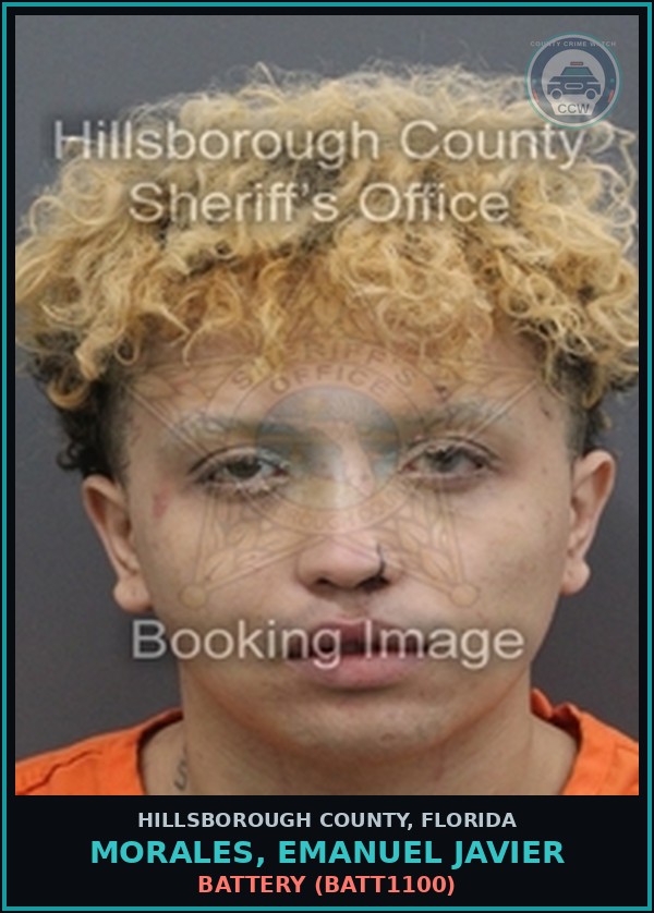 Booking mugshot of MORALES, EMANUEL JAVIER in Hillsborough County