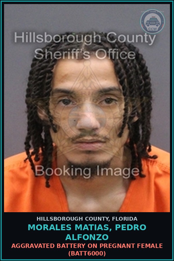 Booking mugshot of MORALES MATIAS, PEDRO ALFONZO in Hillsborough County