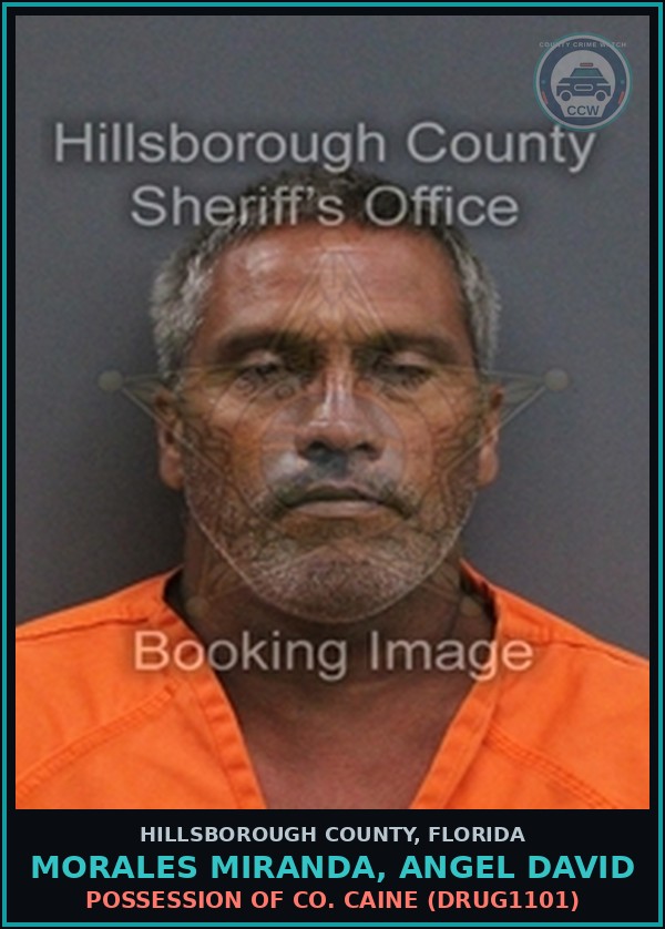 Booking mugshot of MORALES MIRANDA, ANGEL DAVID in Hillsborough County