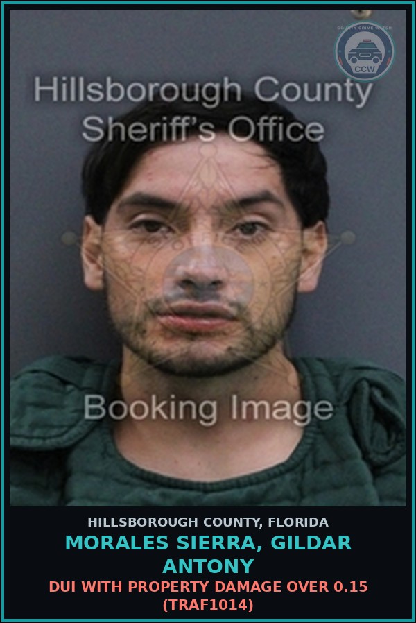 Booking mugshot of MORALES SIERRA, GILDAR ANTONY in Hillsborough County