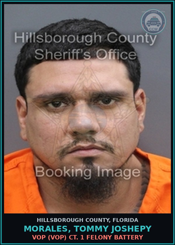 Booking mugshot of MORALES, TOMMY JOSHEPY in Hillsborough County
