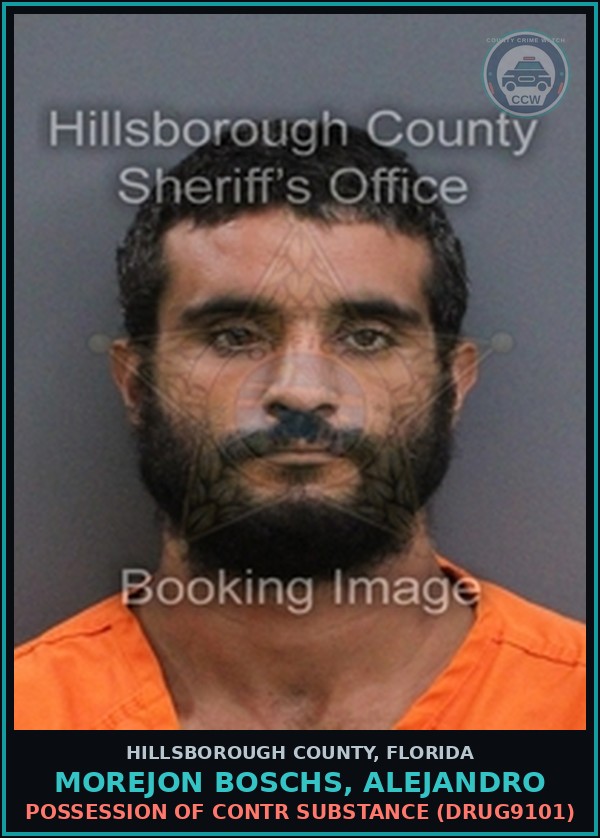 Booking mugshot of MOREJON BOSCHS, ALEJANDRO in Hillsborough County