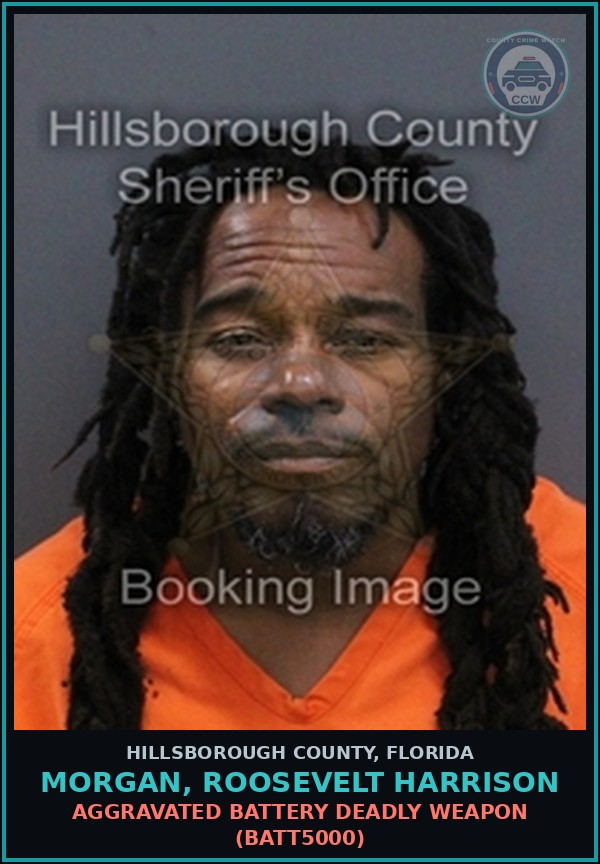 Booking mugshot of MORGAN, ROOSEVELT HARRISON in Hillsborough County