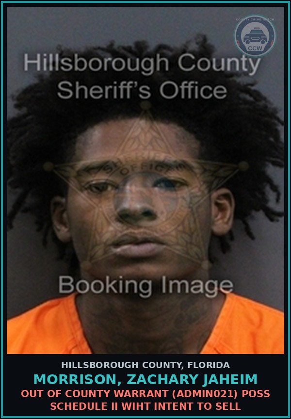 Booking mugshot of MORRISON, ZACHARY JAHEIM in Hillsborough County