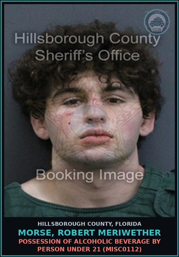 Booking mugshot of MORSE, ROBERT MERIWETHER in Hillsborough County