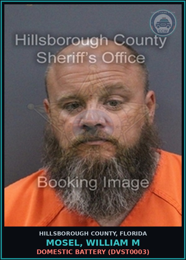 Booking mugshot of MOSEL, WILLIAM M in Hillsborough County