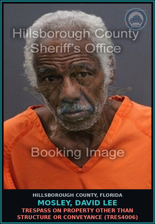 Booking mugshot of MOSLEY, DAVID LEE in Hillsborough County