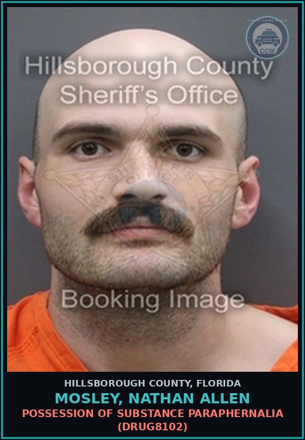 Booking mugshot of MOSLEY, NATHAN ALLEN in Hillsborough County