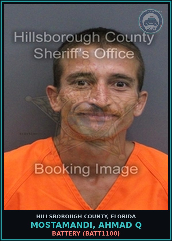 Booking mugshot of MOSTAMANDI, AHMAD Q in Hillsborough County