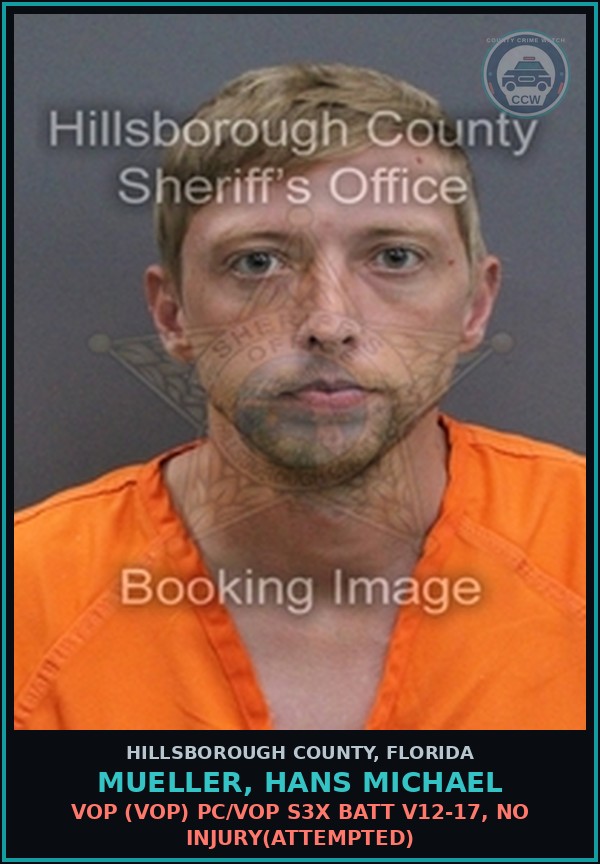 Booking mugshot of MUELLER, HANS MICHAEL in Hillsborough County