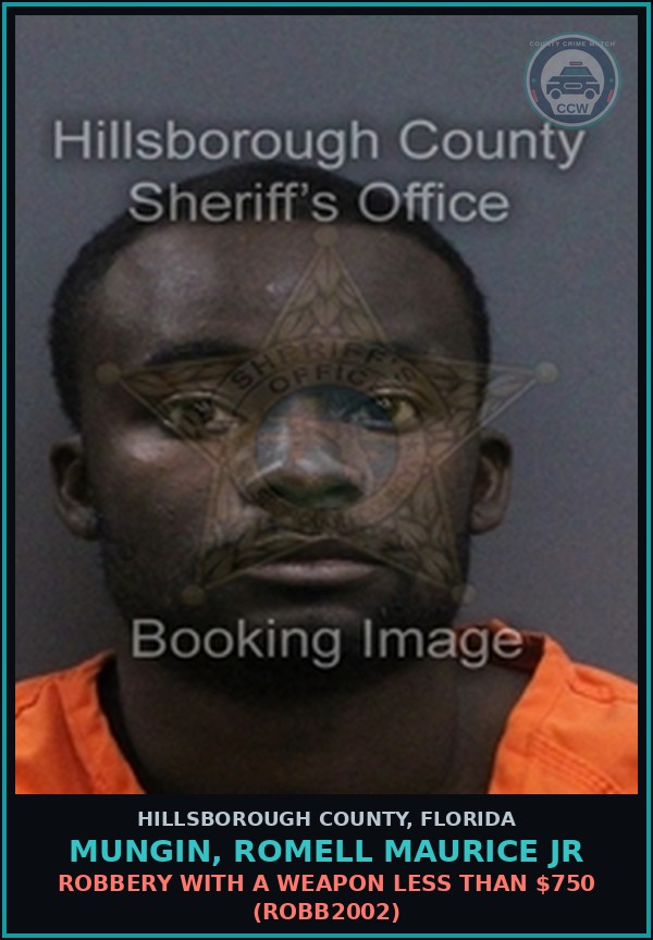 Booking mugshot of MUNGIN, ROMELL MAURICE JR in Hillsborough County