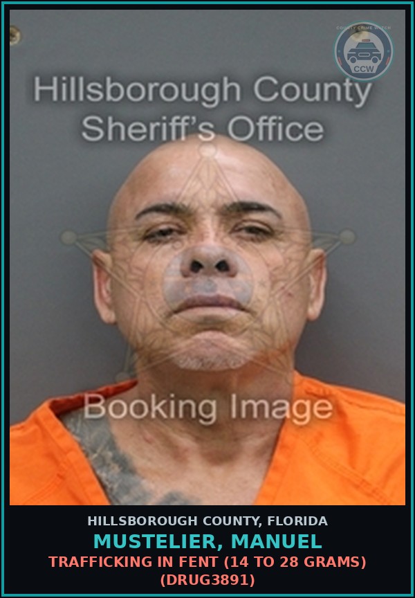 Booking mugshot of MUSTELIER, MANUEL in Hillsborough County