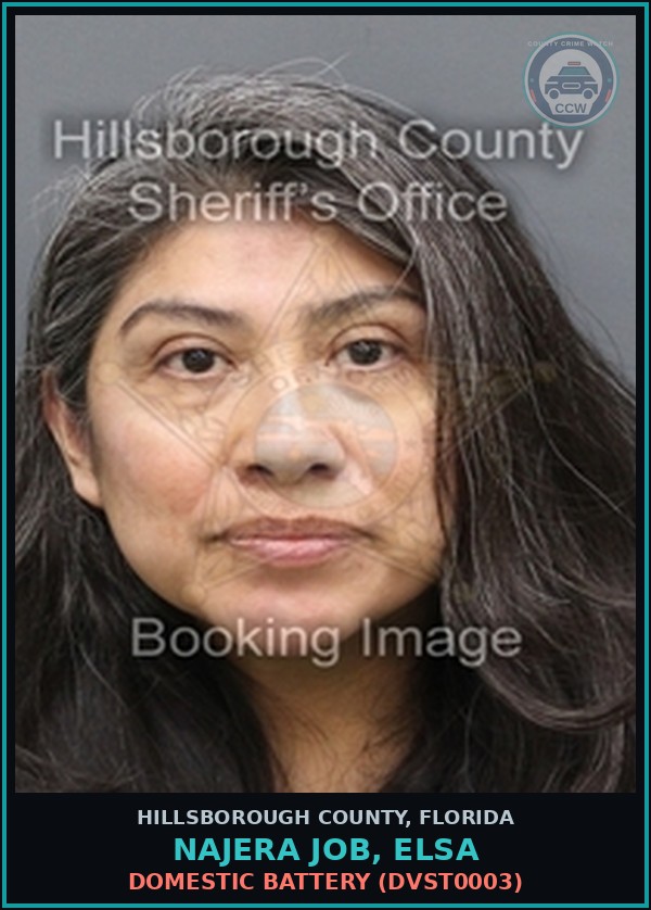 Booking mugshot of NAJERA JOB, ELSA in Hillsborough County