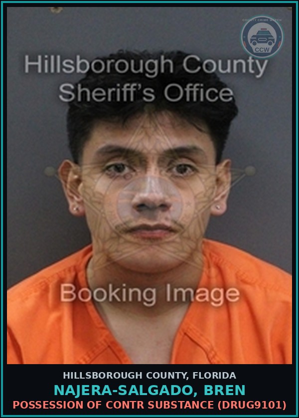 Booking mugshot of NAJERA-SALGADO, BREN in Hillsborough County