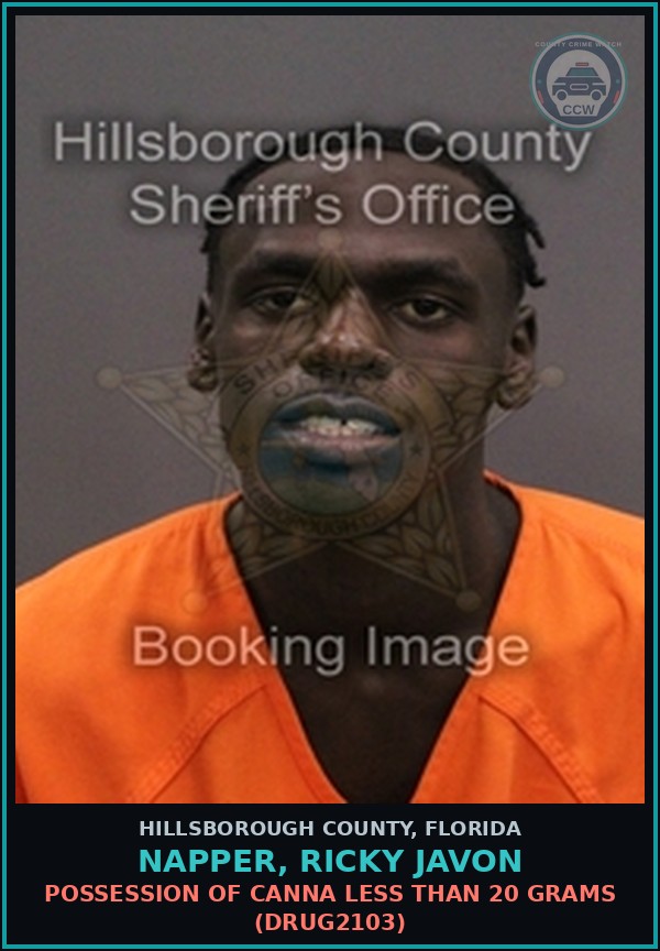 Booking mugshot of NAPPER, RICKY JAVON in Hillsborough County