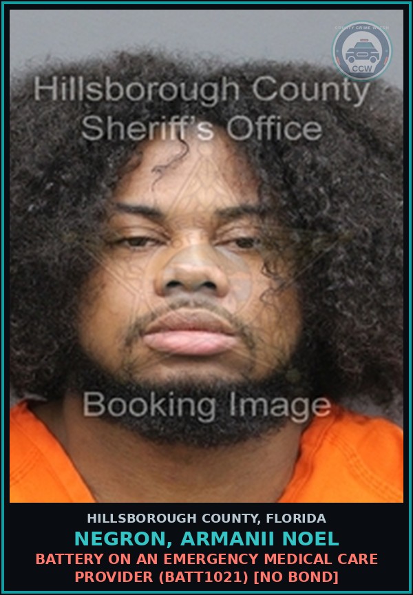 Booking mugshot of NEGRON, ARMANII NOEL in Hillsborough County