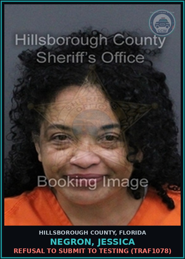 Booking mugshot of NEGRON, JESSICA in Hillsborough County