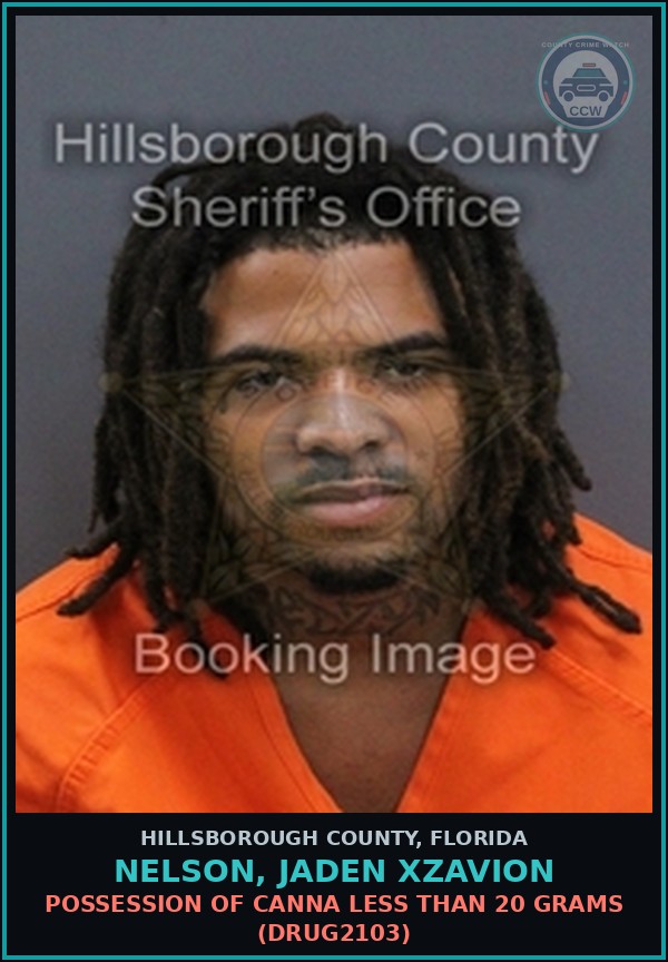 Booking mugshot of NELSON, JADEN XZAVION in Hillsborough County