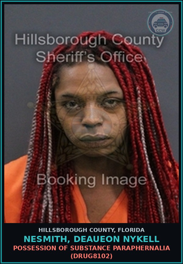 Booking mugshot of NESMITH, DEAUEON NYKELL in Hillsborough County