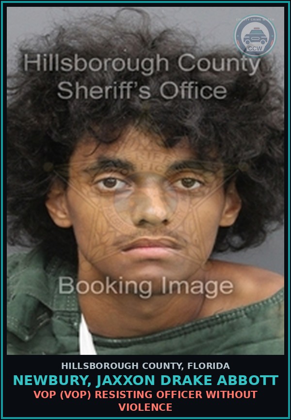 Booking mugshot of NEWBURY, JAXXON DRAKE ABBOTT in Hillsborough County